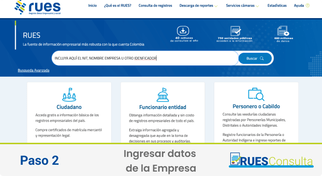 rues consulta paso 3